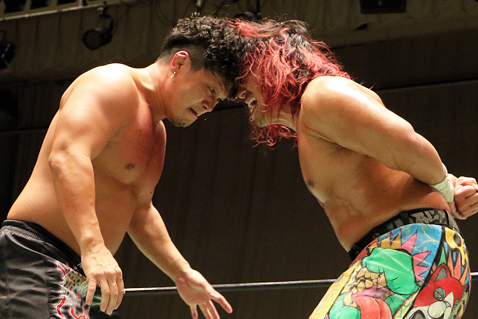 プロレス格闘技DX